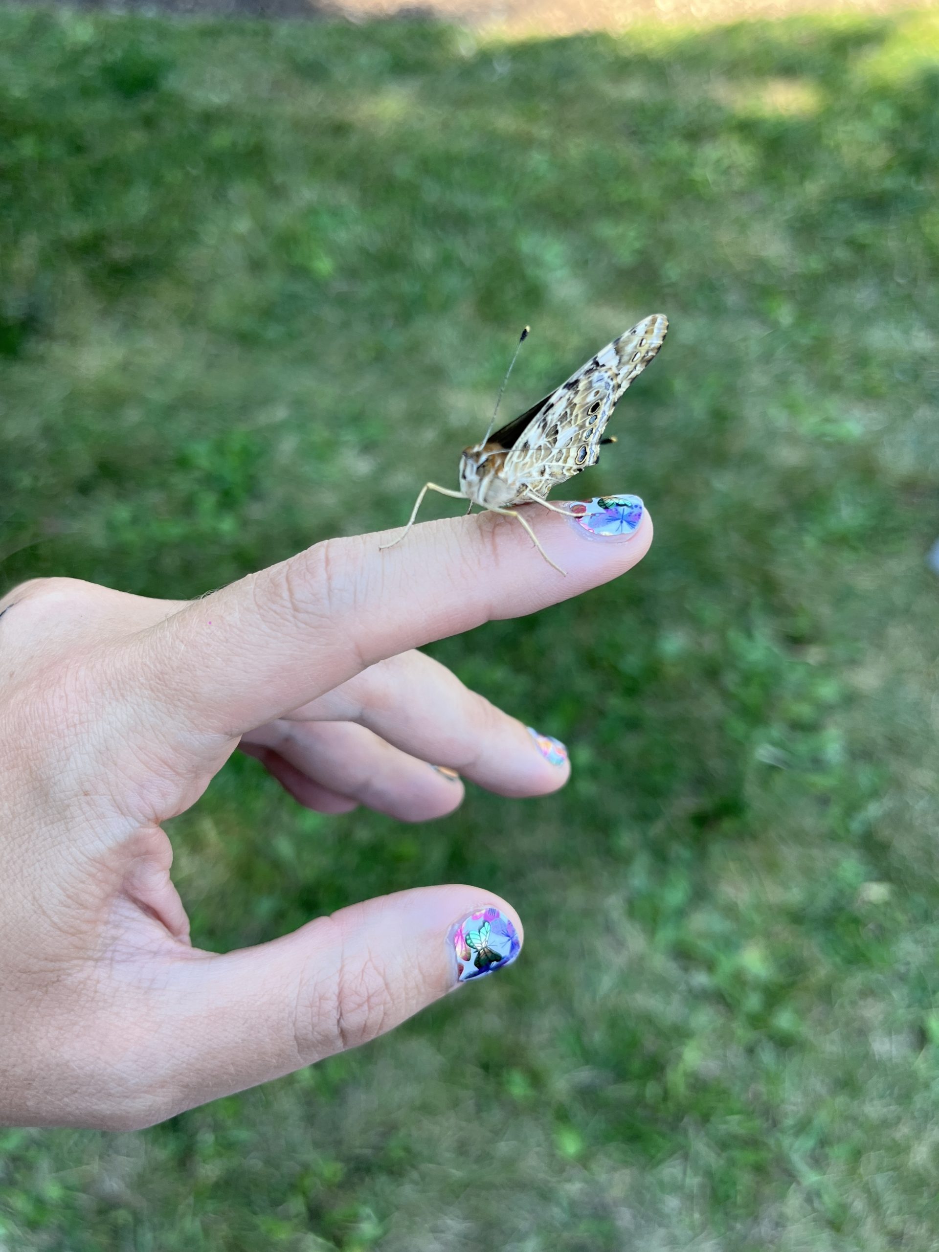 Butterfly Release 2018  Bereaved Families of Ontario – Kingston Region